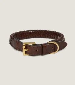 Dog & Falcon Accessories|Purdey Braided Leather Dog Collar in Dark Brown