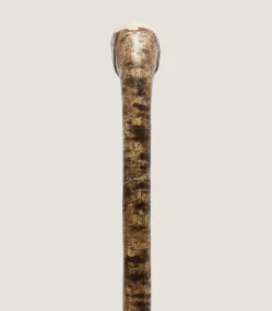 Walking Sticks|Purdey Hazel Knob Stick In Natural