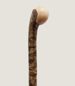 Walking Sticks|Purdey Hazel Knob Stick In Natural