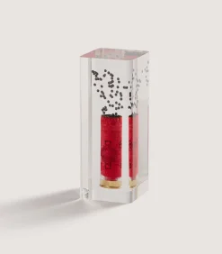 Homeware|Purdey Shell Paperweight